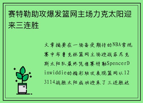 赛特勒助攻爆发篮网主场力克太阳迎来三连胜
